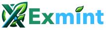 ExMint – Your Financial Data… Yours!